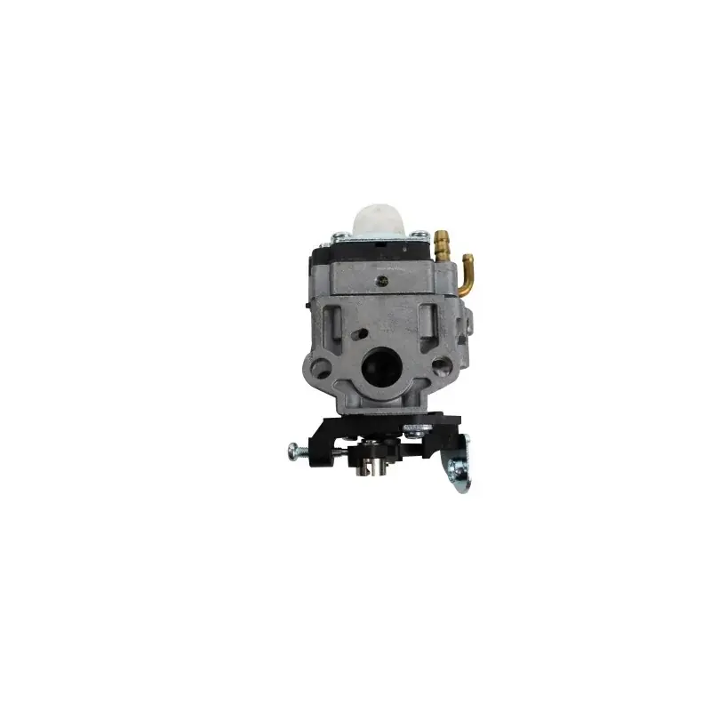 Carburateur GGP – CASTELGARDEN 123054036/0 Petit Prix