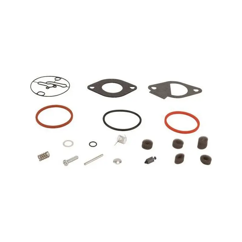 Kit réparation Briggs et Stratton – Nikki 796184 Petit Prix
