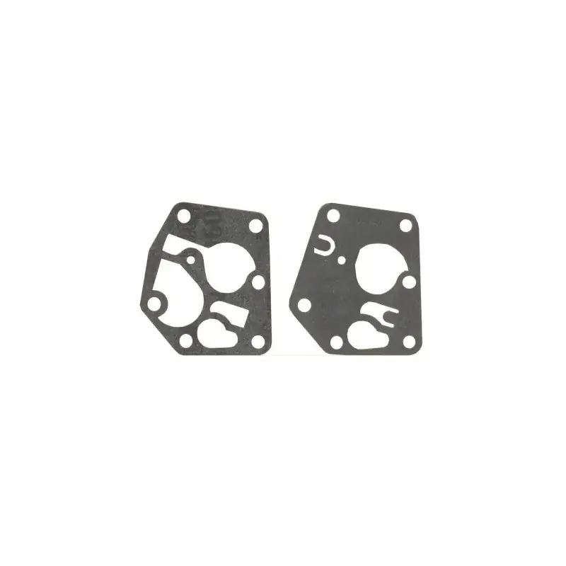 Authentique Kit membrane + joint BRIGGS ET STRATTON 495770