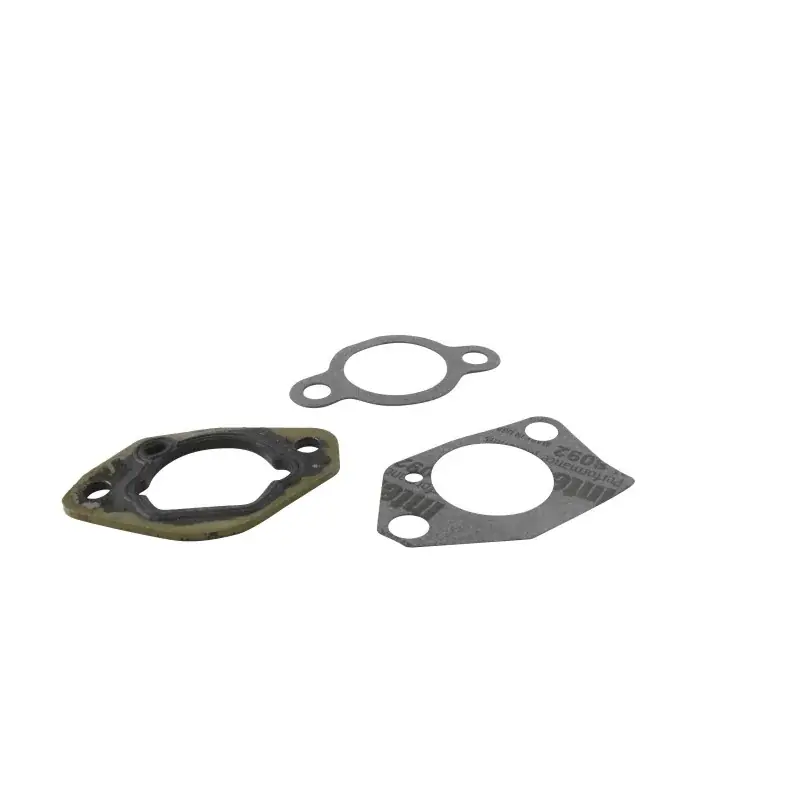 Meilleur Prix Kit joints de carburateur GGP – CASTELGARDEN 118550217/1