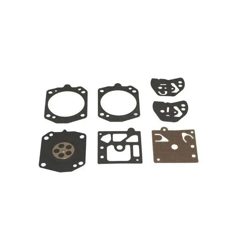 Kit réparation carburateur Briggs et Stratton 495837 – 494882 Prix Promo