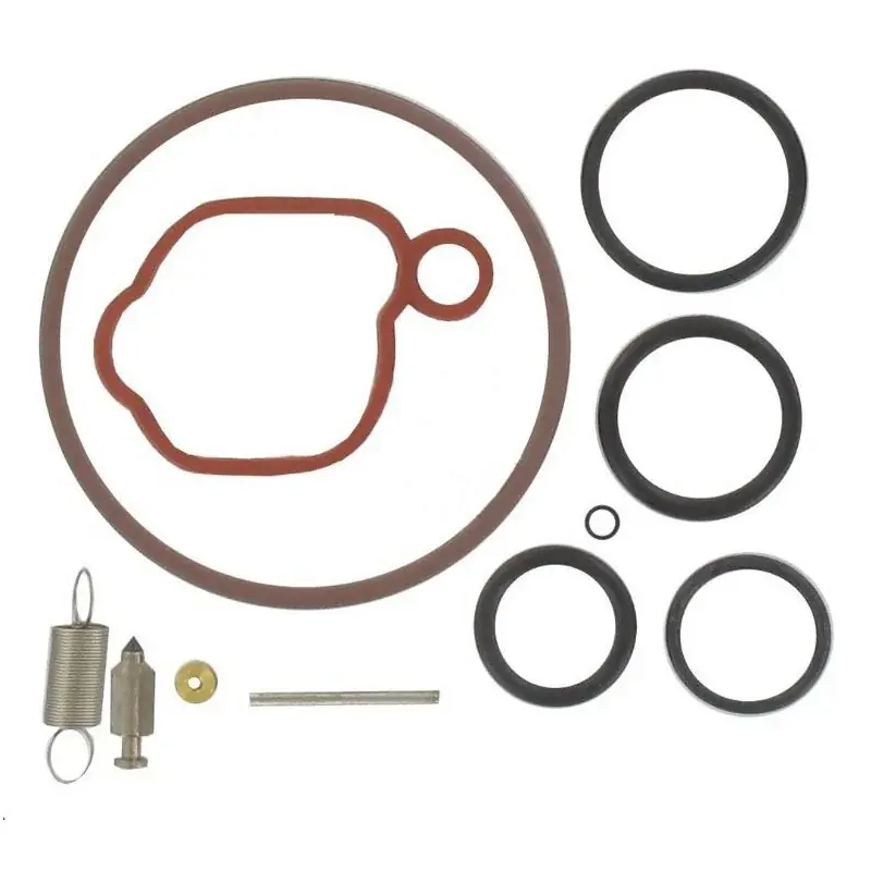 Kit réparation carburateur Briggs et Stratton 590589 Seulement Aujourd&rsquo;hui
