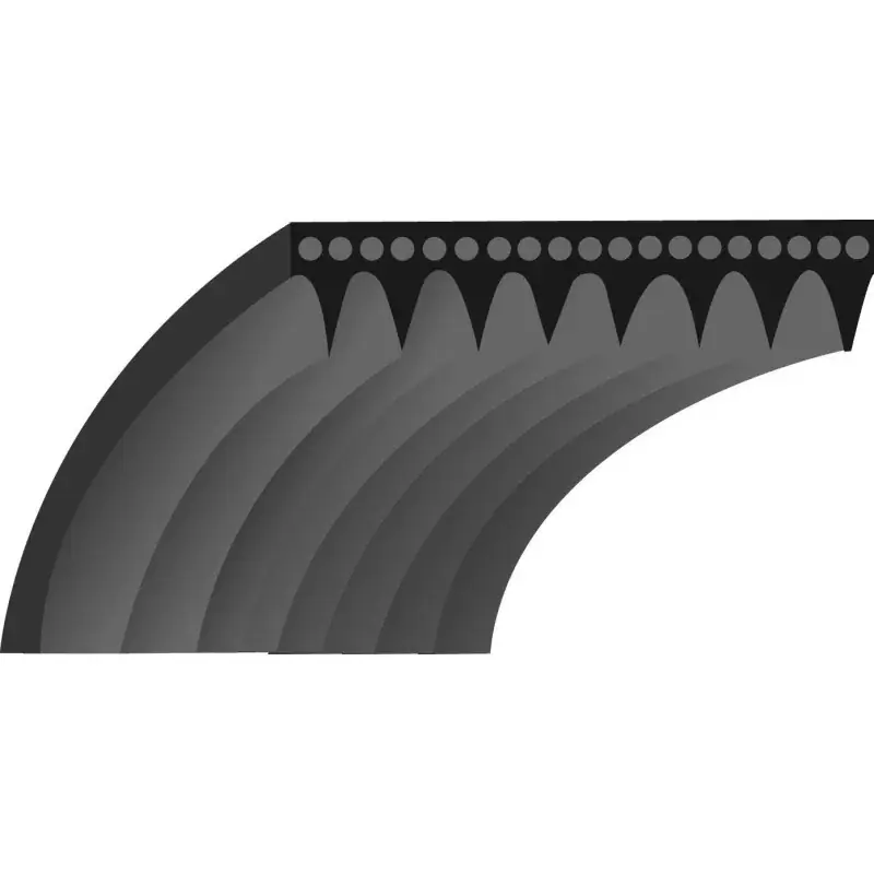 Courroie simple crantage TORO 25-6430 – 256430 – 844 mm Expédié Aujourd&rsquo;hui
