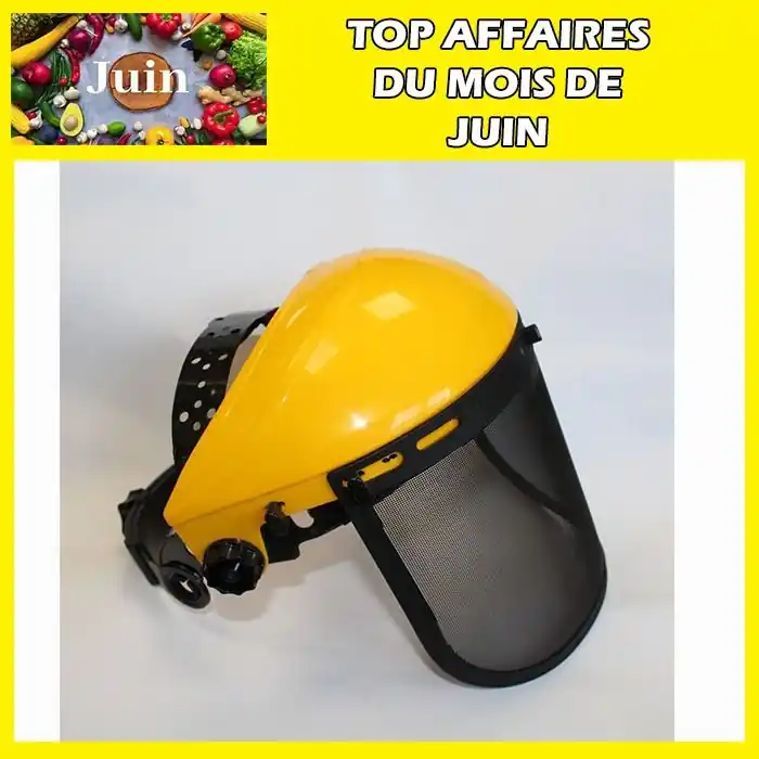 Prix Bas Visière grillagée