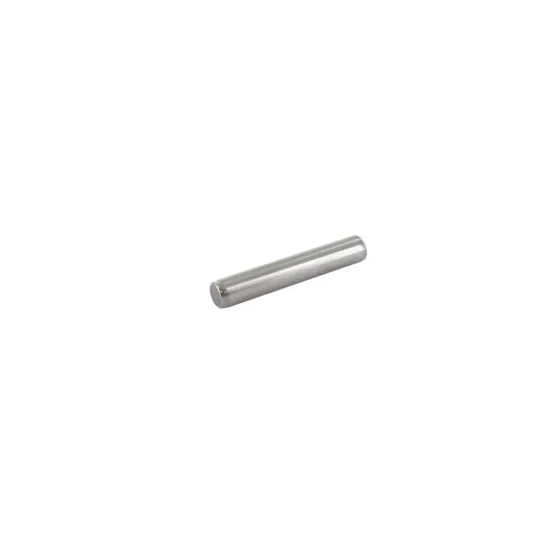 Expédition Rapide Goupille cylindrique GGP – CASTELGARDEN 112622650/0