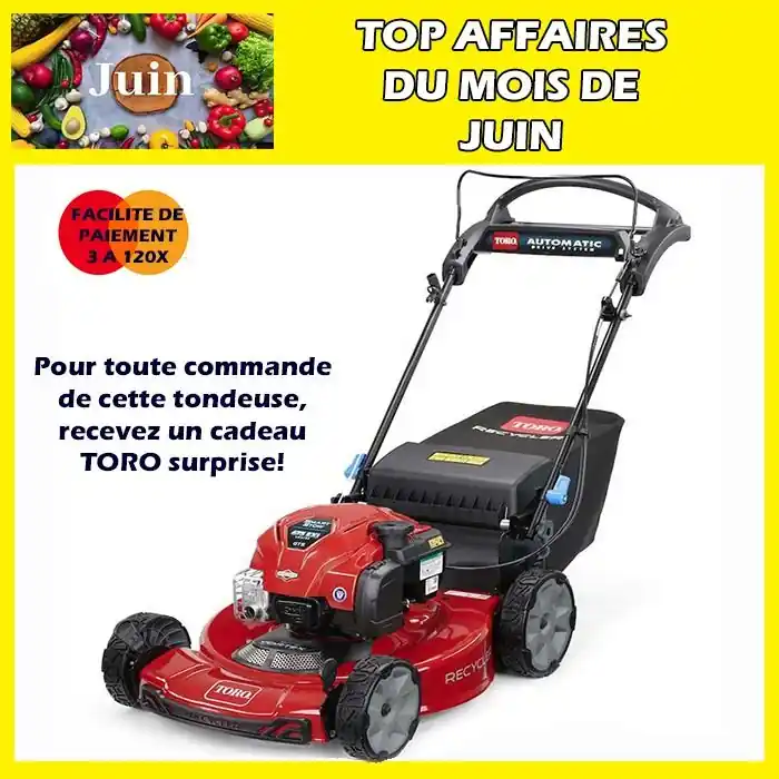 Tondeuse thermique autopropulsée Recycler S55AST/21773 Toro Acheter En Ligne