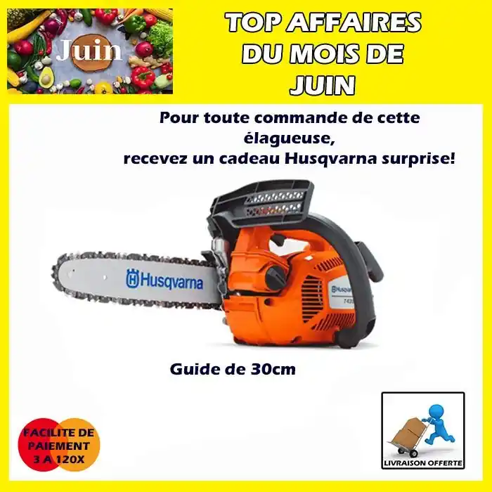 Elagueuse T435 30SN Husqvarna Commander Maintenant