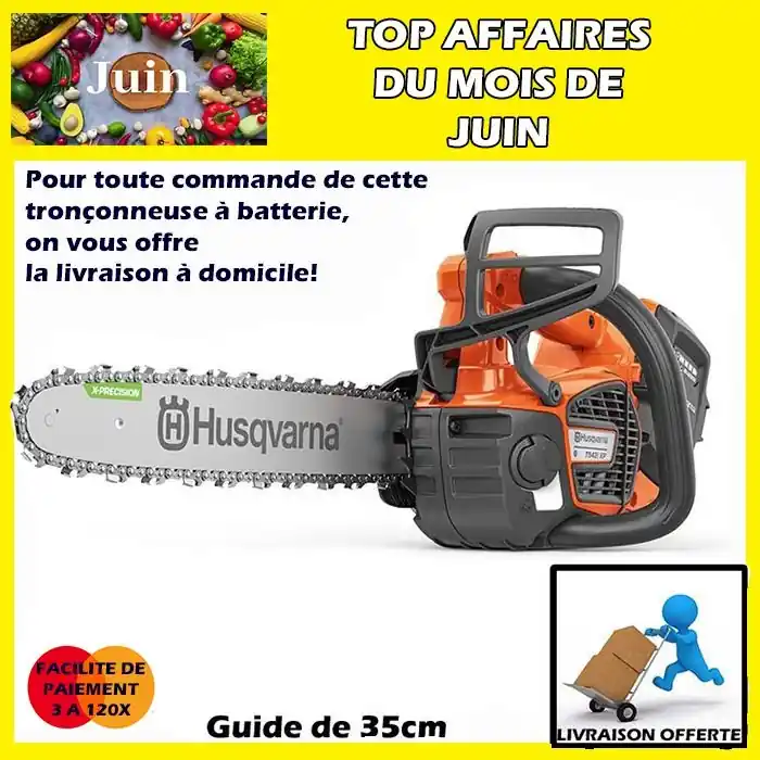 Elagueuse à batterie T542iXP 35SN Husqvarna nue Affaire À Saisir