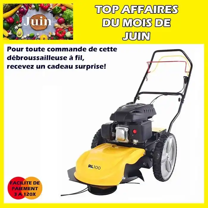 Nouvelle Collection Débroussailleuse à fil autotractée RL100RL Roques et Lecoeur