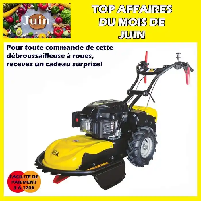 Débroussailleuse forestière RL116RL Roques et Lecoeur Usine Directe