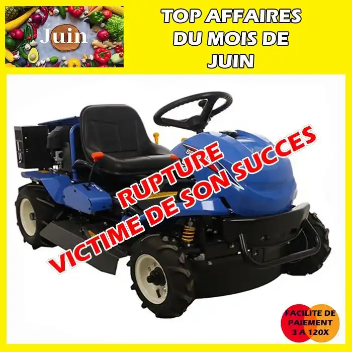 Acheter Direct Débroussailleuse à roues forestière SRA800 Iséki