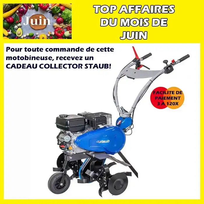 Motobineuse démarrage électrique ST2966DE Staub Nouvelle Collection