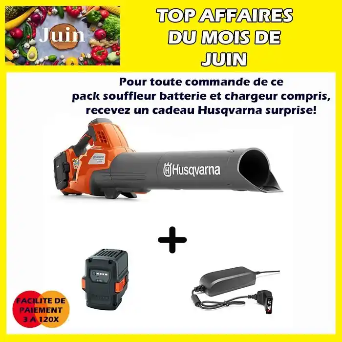 Pack souffleur à batterie 230iB+batterie 40B140+chargeur 40C80 Husqvarna Vente Directe