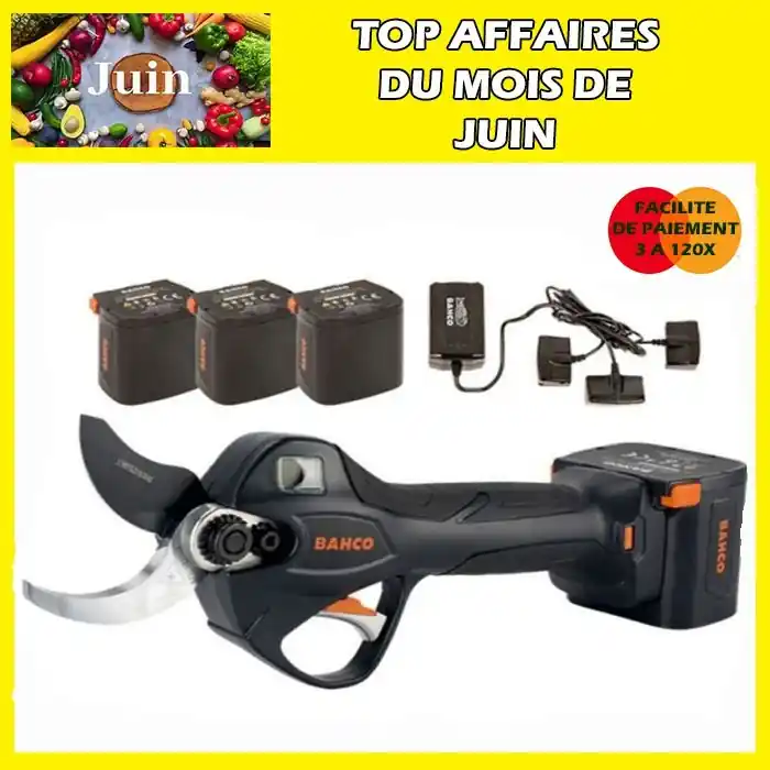 Meilleur Choix Pack sécateur BCL240 Bahco et ses 3 batteries
