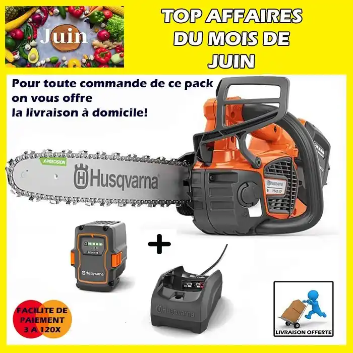 Prix Choc Pack Elagueuse à batterie T542iXP + Batterie 40-B220X + Chargeur 40C80 Husqvarna