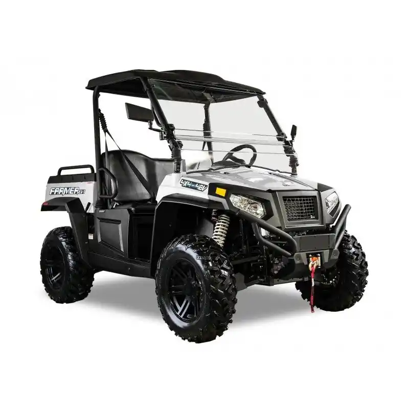 Retour Gratuit Véhicule de loisirs Full électrique Farmer EV1 TEMVER
