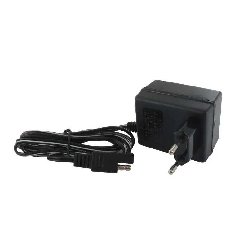 Chargeur de batterie GGP – CASTELGARDEN 118204120/1LC Bon Plan