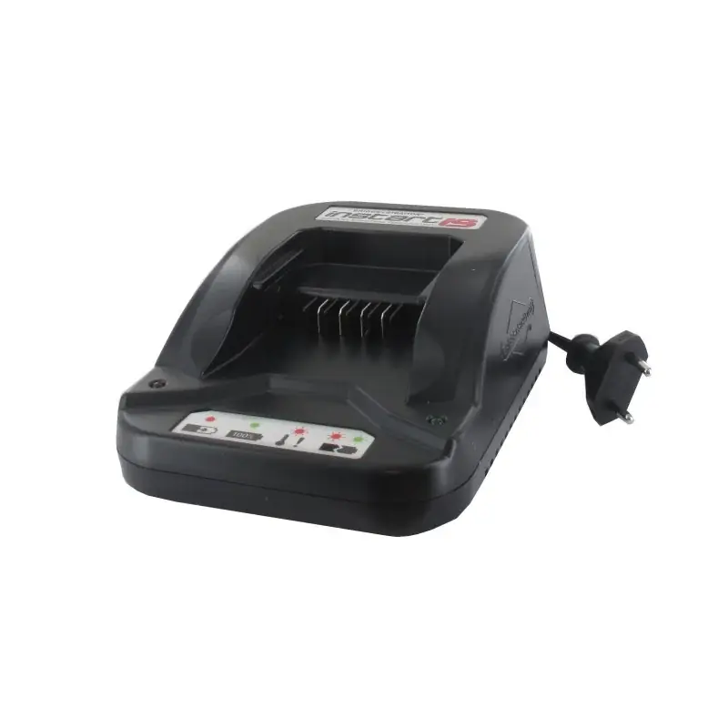 Nouvelle Collection Chargeur de batterie GGP – CASTELGARDEN 118204136/1