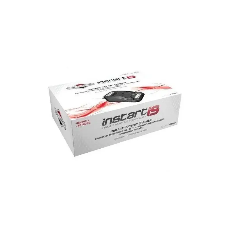 Chargeur de batterie BRIGGS ET STRATTON 593562 Expédié Aujourd&rsquo;hui