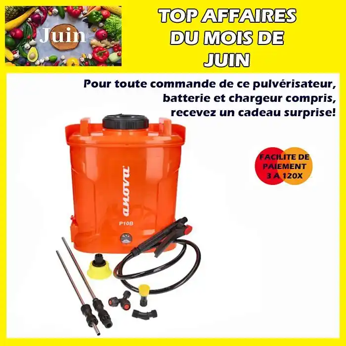 Petit Prix Pulvérisateur à dos à batterie 10litres Anova