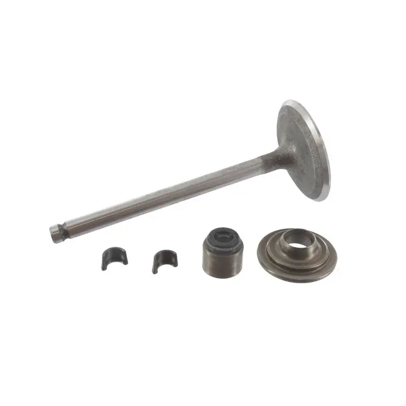 Soupape d‘admission BRIGGS ET STRATTON 791935 Top Vente