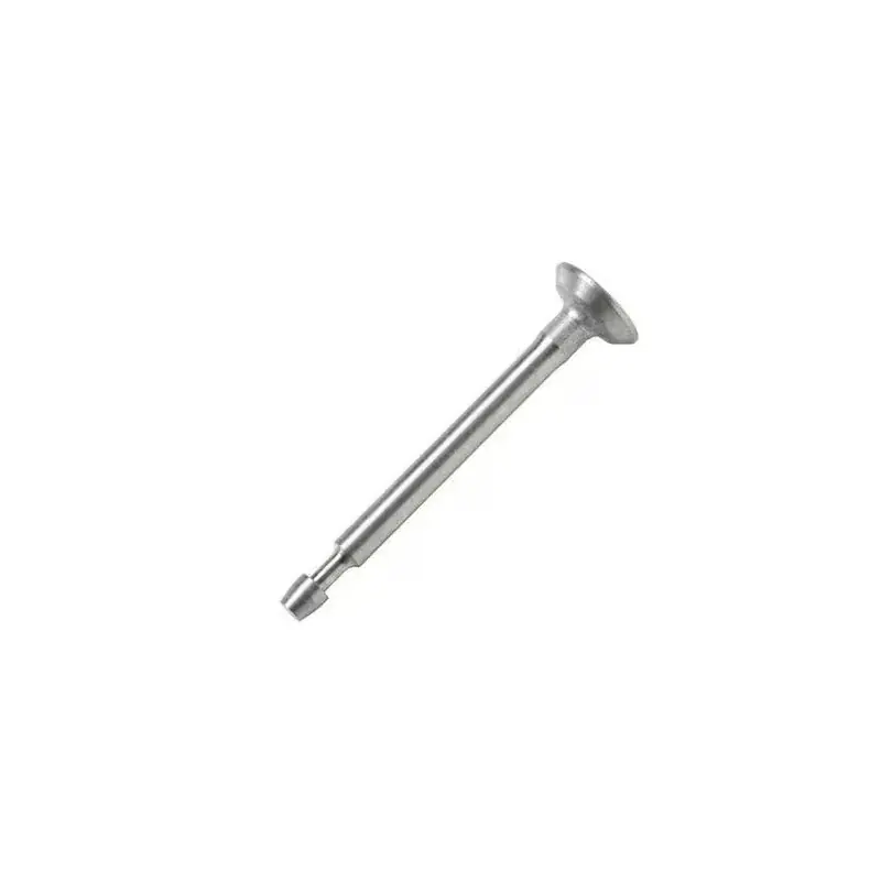 Solde Soupape d‘échappement BRIGGS ET STRATTON 792868