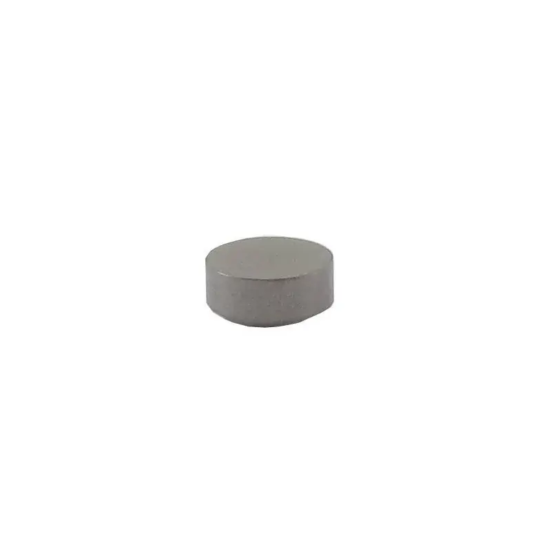 Capuchon de soupape BRIGGS ET STRATTON 691843 Nouveauté
