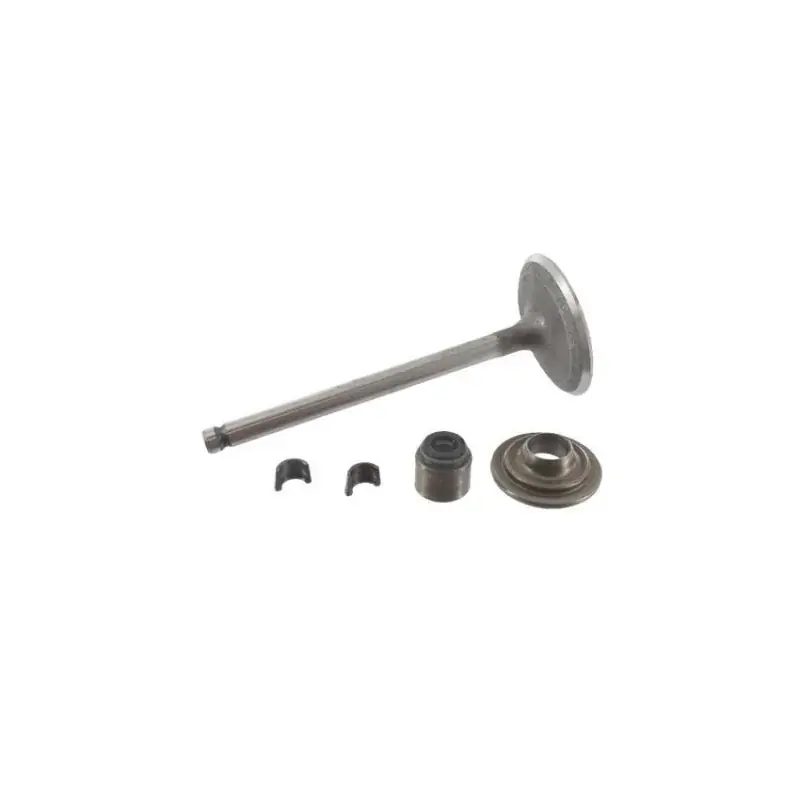 Soupape d‘admission Briggs et Stratton 495857 – 695761 – 791935 Affaire À Saisir