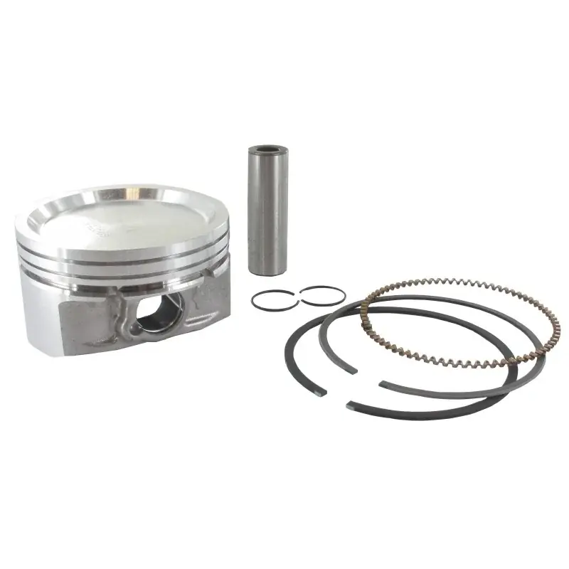 Expédié Aujourd&rsquo;hui Piston BRIGGS ET STRATTON 843805