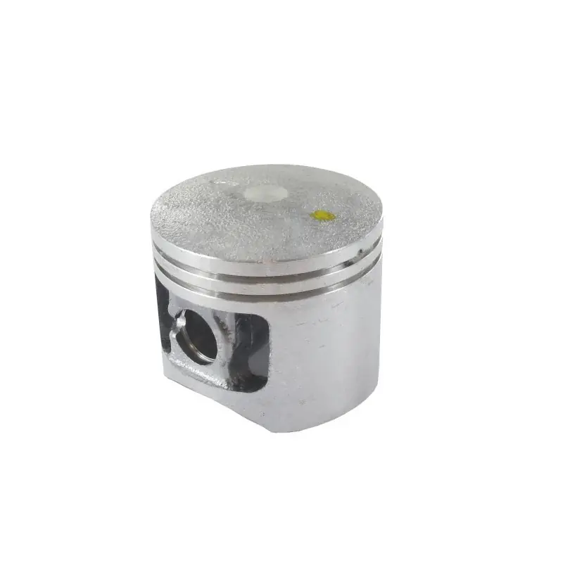 Expédié Aujourd&rsquo;hui Piston nu GGP – CASTELGARDEN 118800218/0