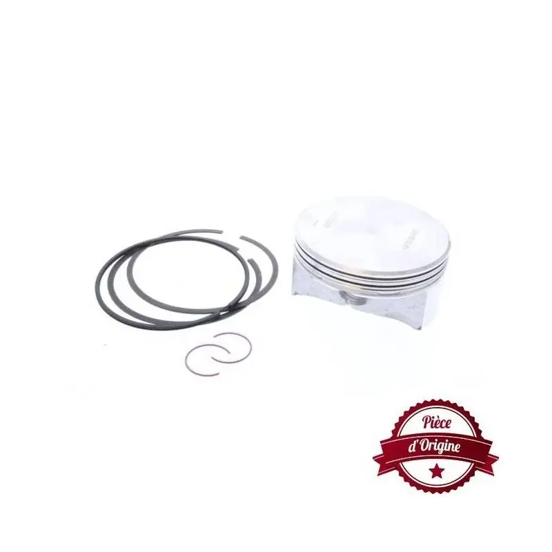 Piston Complet Briggs et Stratton 594435 Dernière Chance
