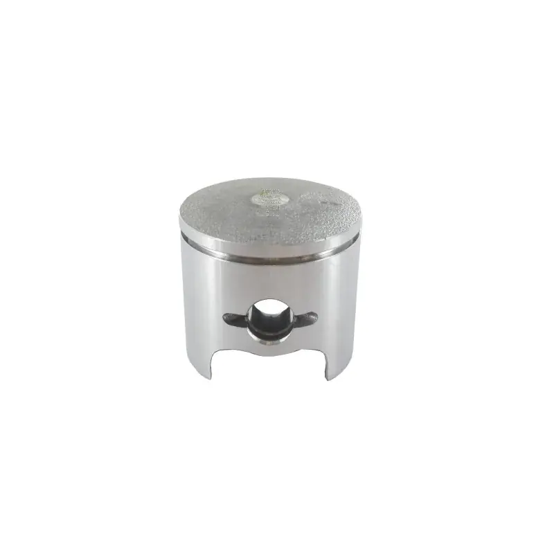 Piston nu GGP – CASTELGARDEN 118800269/0 Bon Plan