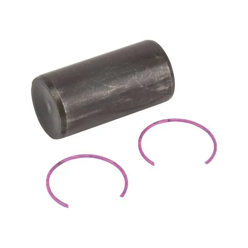 Marque Axe de piston et circlips Briggs et Stratton 797013