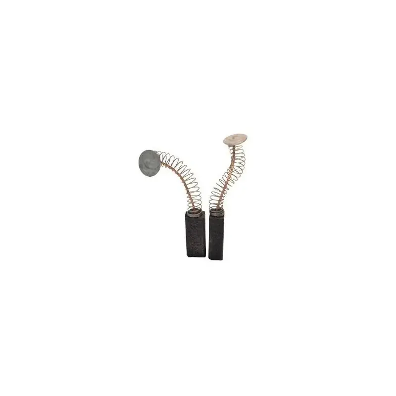 Top Vente Jeu de charbons RUPES PC30 – TP13R