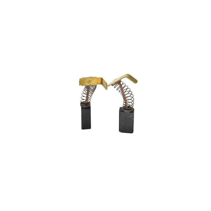 Jeu de charbons RYOBI 6541163 – 6541223 Prix Bas