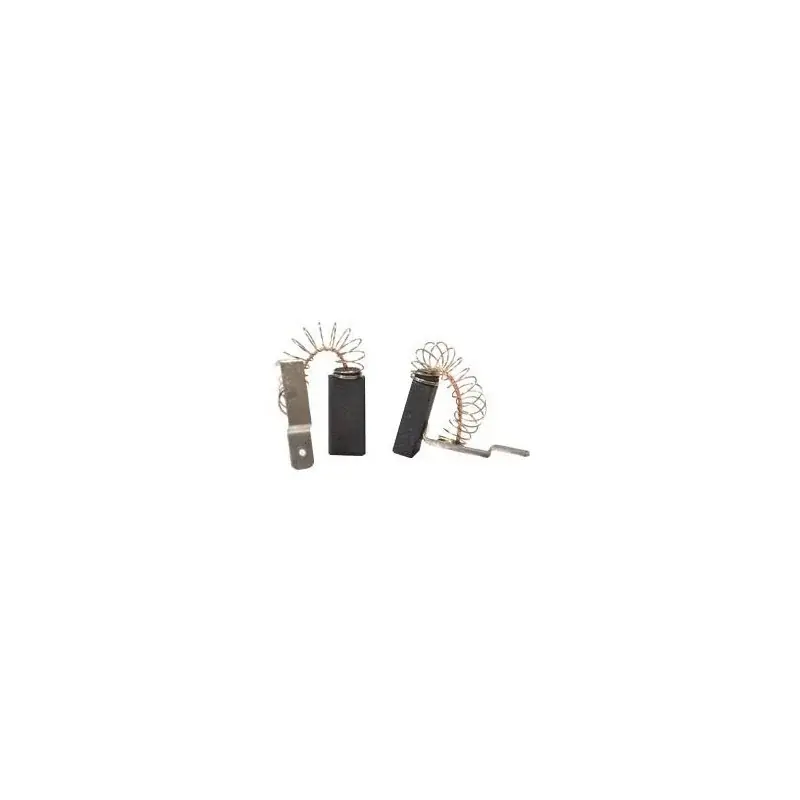 Jeu de charbons BOSCH 1609243000 Haute Qualité
