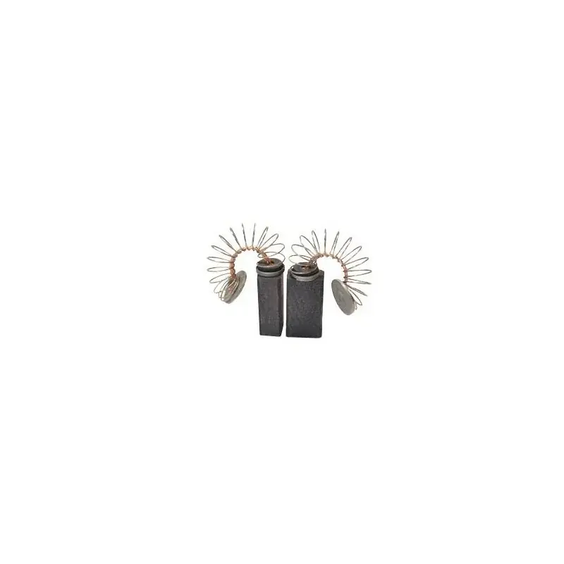 Jeu de charbons SKIL S-555H Authentique
